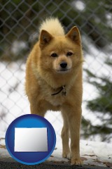 colorado map icon and a Finnish Spitz dog in a kennel, with a blurred chain-link fence