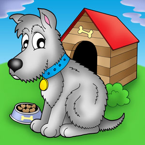 gray puppy sitting in front of its kennel